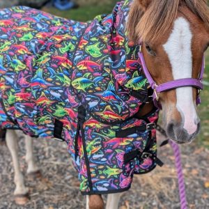Horse wearing a rainbow shark turnout rug